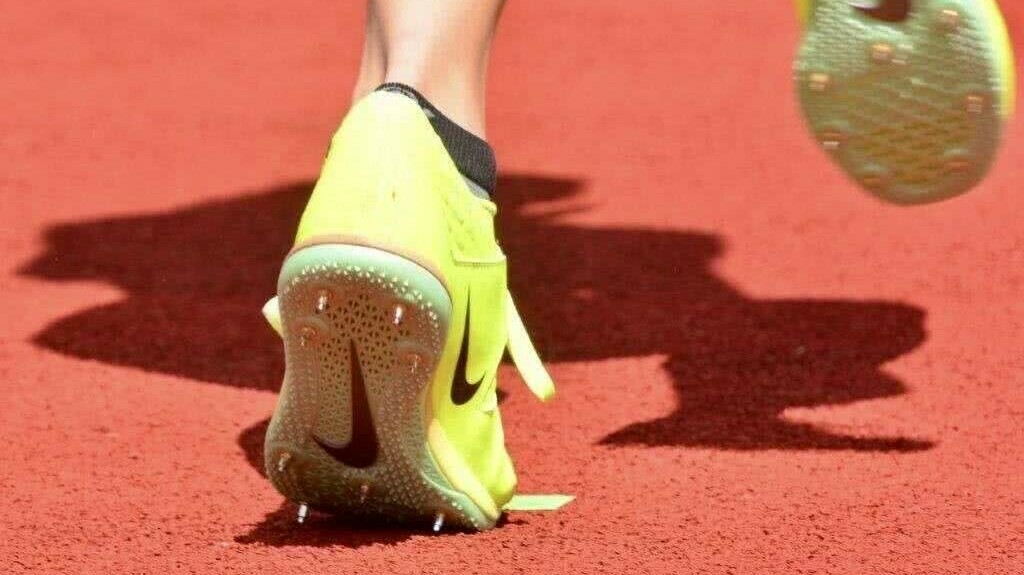 Kreis Si-Wi Spikes