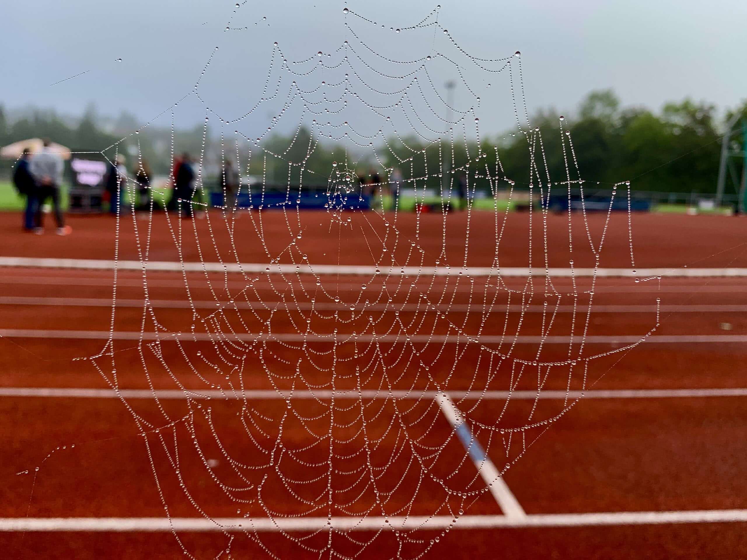 Sportplatz Si-Wi am Morgen
