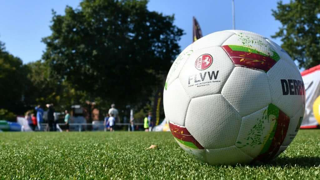 FLVW Ball Feature Logo