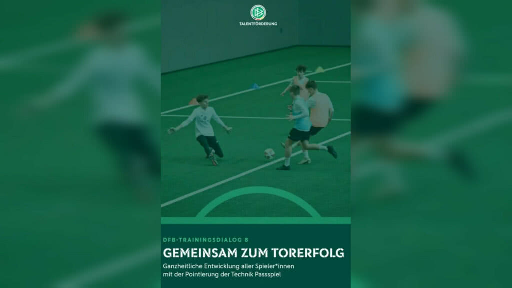DFB-Trainingsdialog 8